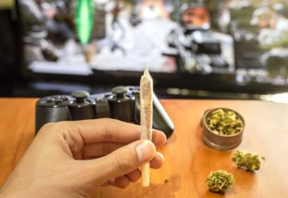 Top 10 Computer Games for Marijuana Lovers