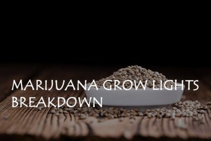 marijuana grow lights breakdown