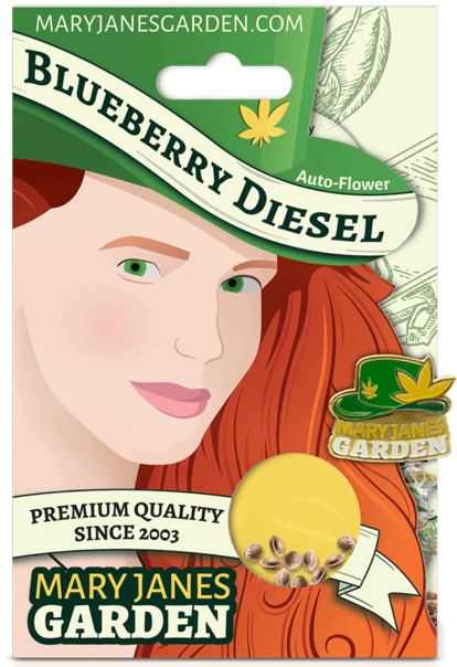 Blueberry Diesel Package Mock Up 1 1