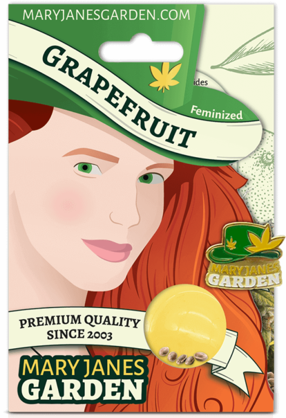 Grapefruit Package Mock Up 3 1