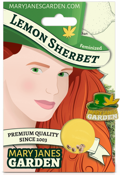 Lemon Sherbert Package Mock Up 1 1