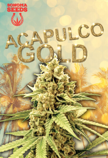 acapulco gold