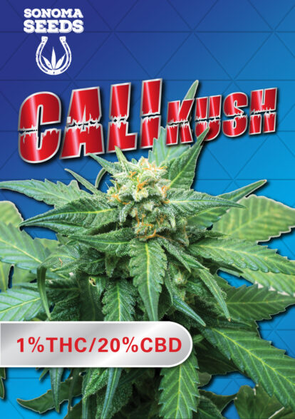 cali kush seeds