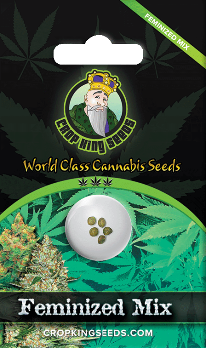 feminized mix seed