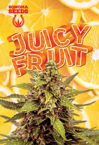 juicy fruit seeds