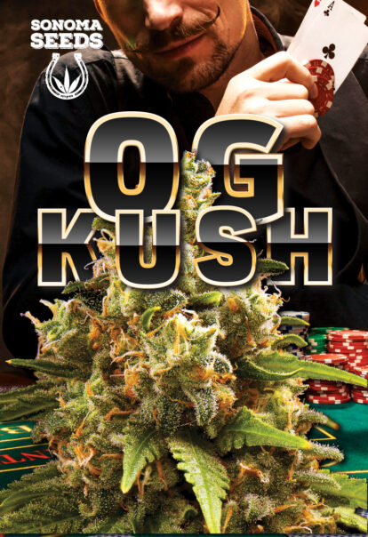 og kush seeds