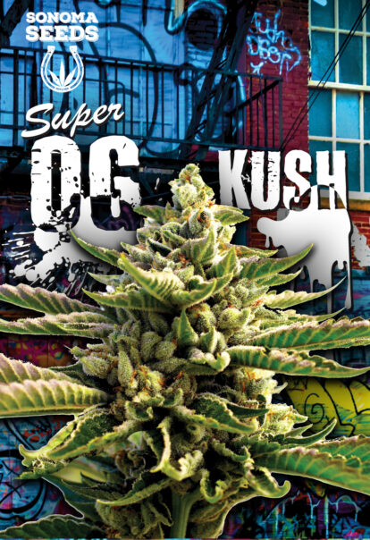 super og kush seeds