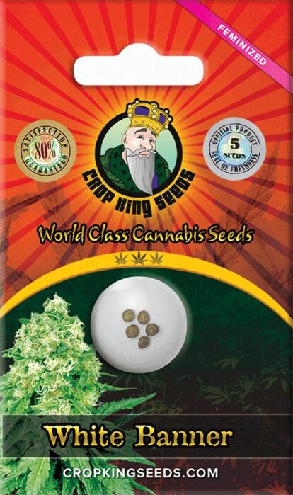 white banner feminized seed