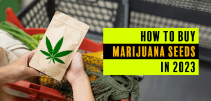 buy marijuana seeds